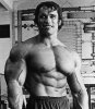 1253087519_young_arnold_schwarzenegger_13.jpg